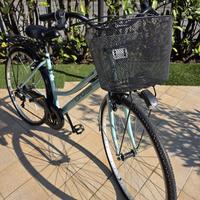 Bicicletta city bike