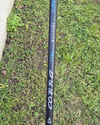Canna Cobra faps carbonio alto modulo m 7