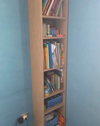 Libreria Ikea Billy