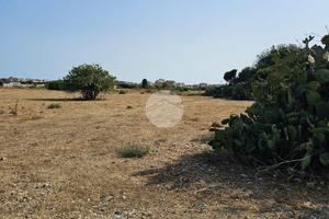 TER. AGRICOLO A QUARTUCCIU