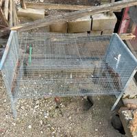 Gabbia pulcini conigli