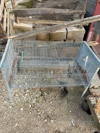 Gabbia pulcini conigli