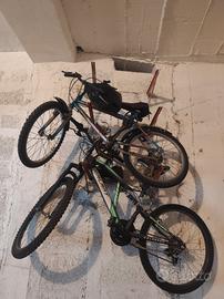 biciclette 20 pollici e 24 +sistema trasporto
