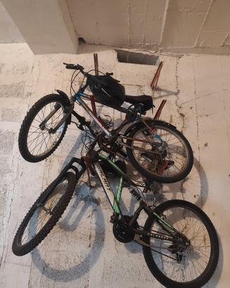 biciclette 20 pollici e 24 +sistema trasporto