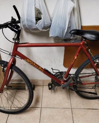 Bicicletta MTB