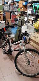Bicicletta Mountain Byke