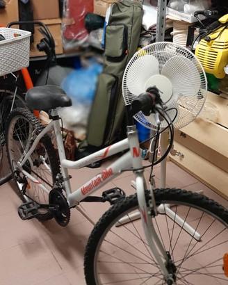 Bicicletta Mountain Byke