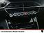 Immagine 19