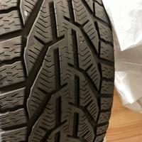 Gomme invernali antineve 205/55 R17