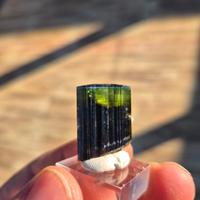 Tormalina blu cap con albite 