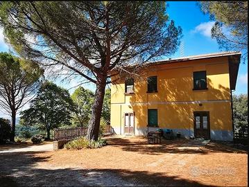 Agriturismo e azienda agricola 82 ettari