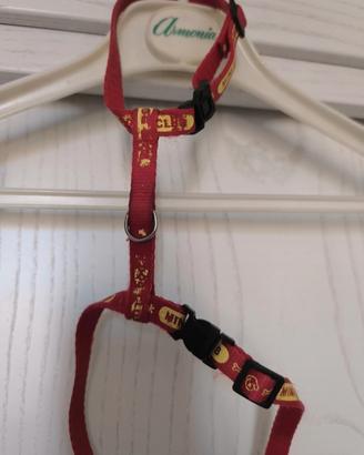 pettorina H e giunzaglio mis xs