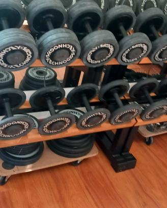 manubri technogym 