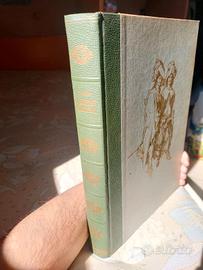 Il capitan Fracassa - Theophile Gautier Gustav Dor