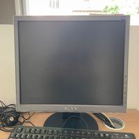 MONITOR SONY.DISPONIBILI 10 PEZZI. RITIRO A MANO.