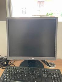 MONITOR SONY.DISPONIBILI 10 PEZZI. RITIRO A MANO.