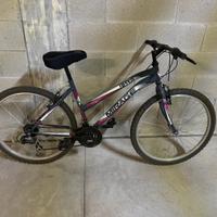 Bicicletta mountain bike