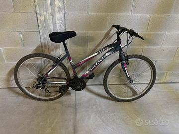 Bicicletta mountain bike