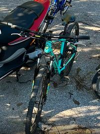 mtb megamo taglia 29