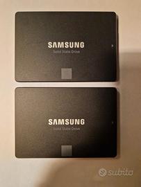 2 Dischi SSD Samsung EVO 860 - 250GB