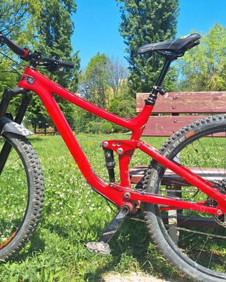 Bici MTB Norco Sigth 29 full carbon
