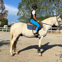 Doppio pony connemara