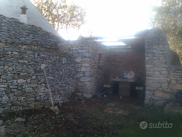 Trullo con terreno e uliveto