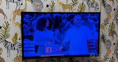 Televisore Telefunken completa di telecomando