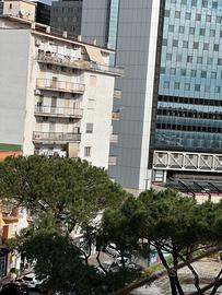 Vasto centro direzionale