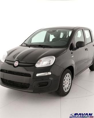 FIAT Pandina Panda 1.0 FireFly 65 CV Hybrid Icon