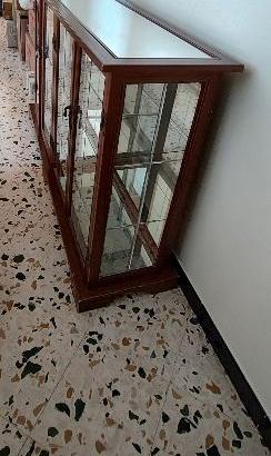 Elegante Vetrinetta Bassa in Legno e Vetro con Rip