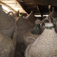 Damigiane vintage e bottiglie vintage