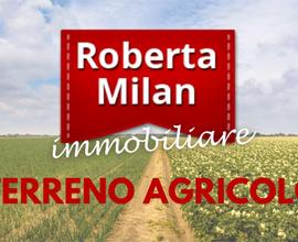 VENEZIA TERRENO AGRICOLO a vigneto ed a seminativo