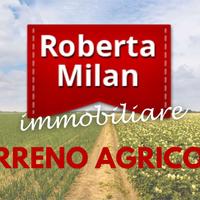 VENEZIA TERRENO AGRICOLO a vigneto ed a seminativo