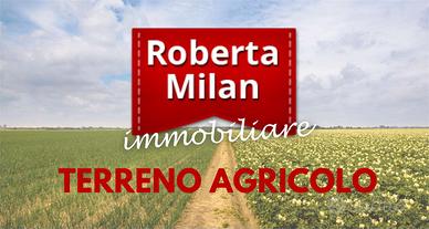 VENEZIA TERRENO AGRICOLO a vigneto ed a seminativo