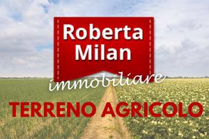 VENEZIA TERRENO AGRICOLO a vigneto ed a seminativo