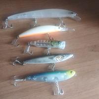 Esche da branzino / serra