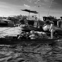 Fotografia d'autore su lastra di alluminio