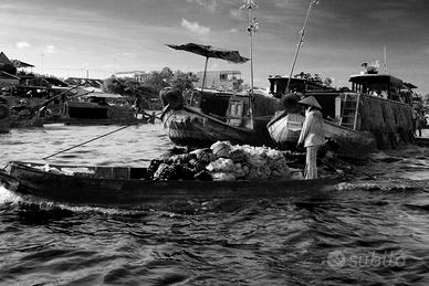 Fotografia d'autore su lastra di alluminio
