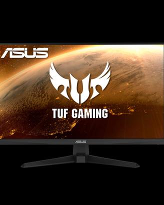 ASUS E LG MONITOR