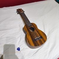 Flight NUS200 NA + custodia orig. Flight + plettro