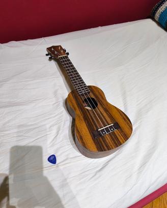 Flight NUS200 NA + custodia orig. Flight + plettro