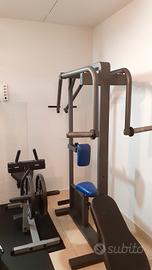calf machine e row machine 