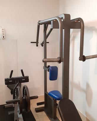 calf machine e row machine 