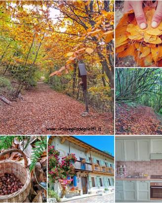 Autunno in Natura