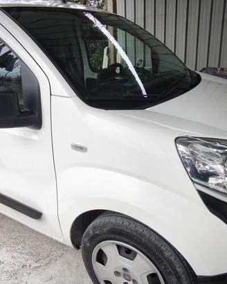 Fiorino  