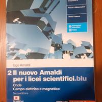 il nuovo amaldi per i licei scientifici.blu 2