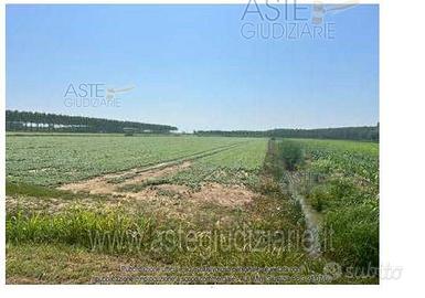 Terreno Agricolo Villimpenta [A4341933]