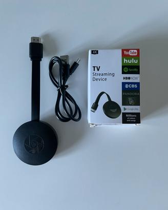 Chrome cast