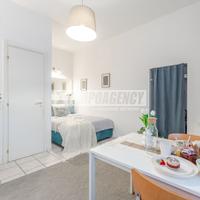 Monolocale in Via Paolo Frisi 3